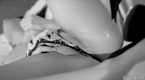 Moonlit Curves